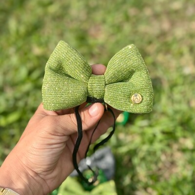 Foto Laçarote com Enchimento Glitter Verde Oliva