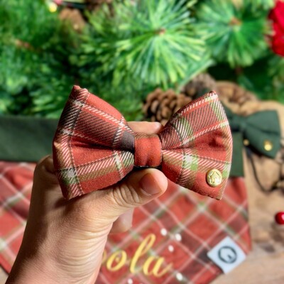 Foto Gravata com Enchimento 