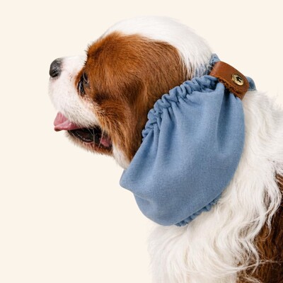 Foto Snood Azul Celeste - Guarda Orelhas para cachorros de orelha longa - Cavalier, Cocker