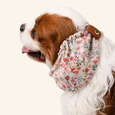 Foto Snood Bosque de Cogumelos - Guarda Orelhas para cachorros de orelha longa - Cavalier, Cocker
