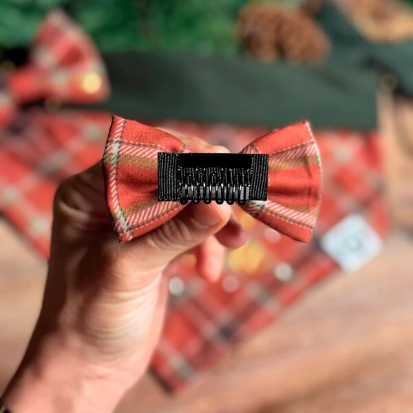 Lacinho sem enchimento 