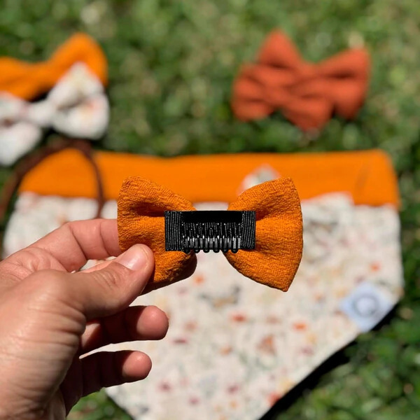 Lacinho sem enchimento Alvorada Verso