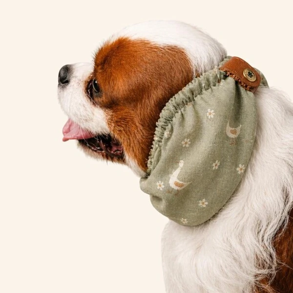 Snood Patinhos e Margaridas - Guarda Orelhas para cachorros de orelha longa - Cavalier, Cocker