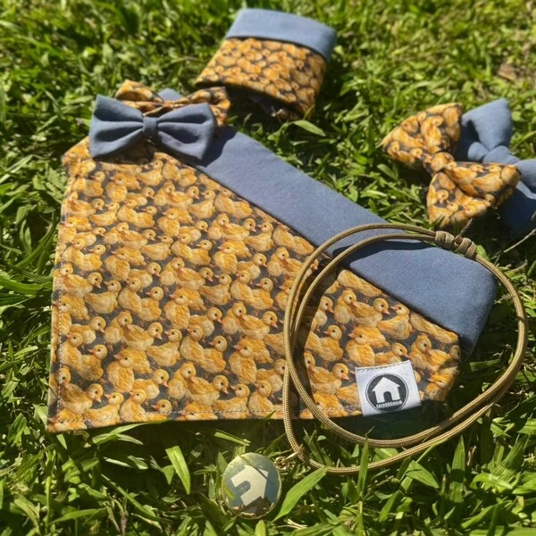 Bandana Entre Plumas