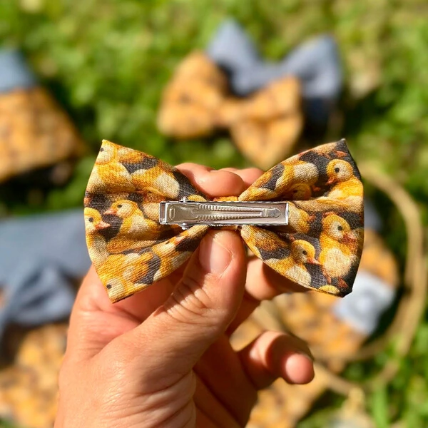 Lacinho sem enchimento Entre Plumas Frente