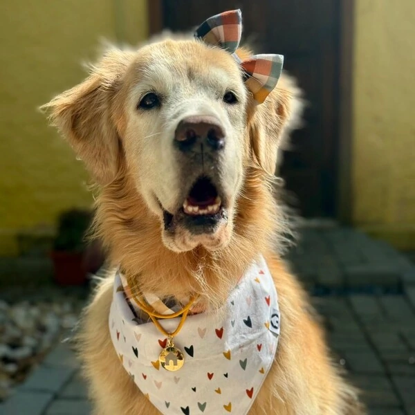 Bandana Coração do Campo