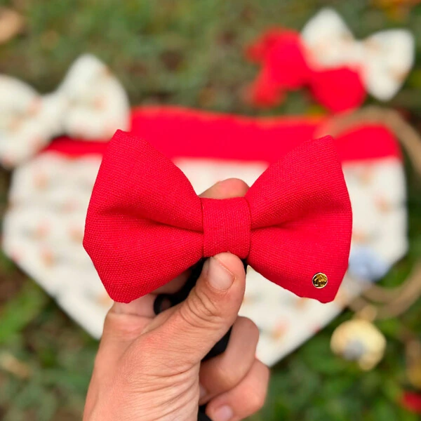 Gravata com Enchimento Canta Galo Verso