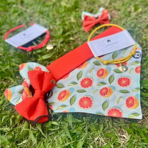 Lacinho sem enchimento Toranja Frente