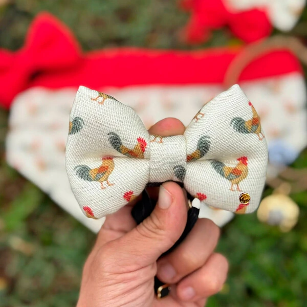 Gravata com Enchimento Canta Galo Frente