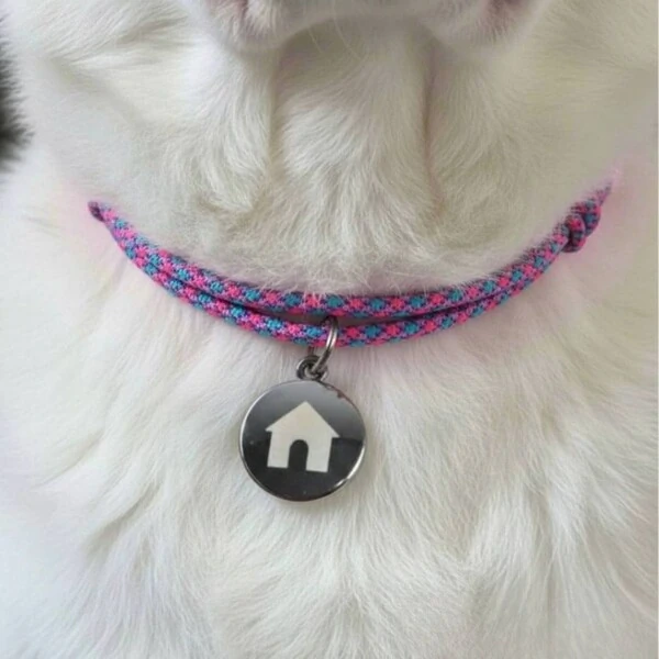 Tag Holder Candy
