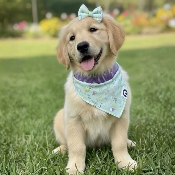 Bandana Bala de Goma