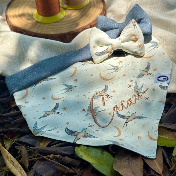 Bandana Voos para um Novo Ciclo