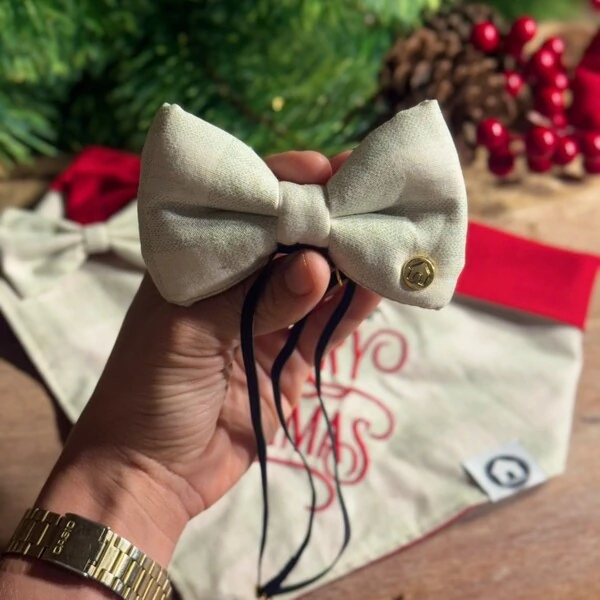 Laçarote com Enchimento 