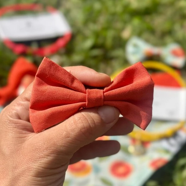 Lacinho sem enchimento Toranja Verso