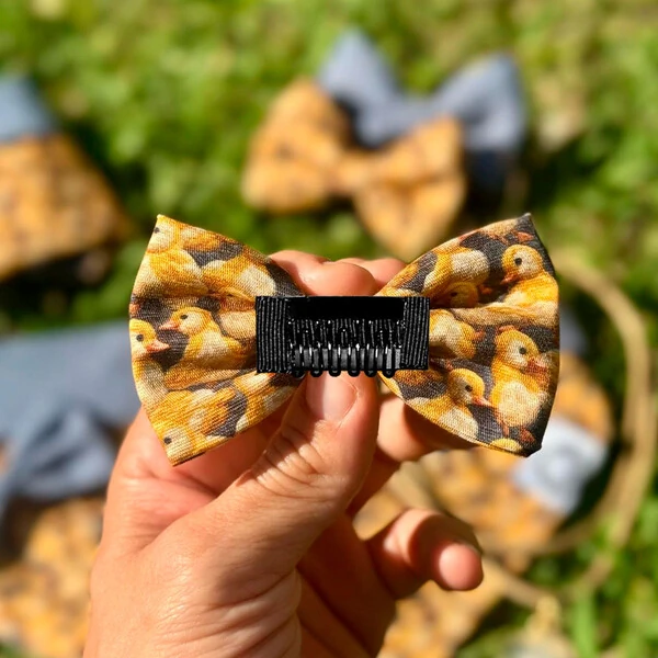 Lacinho sem enchimento Entre Plumas Frente