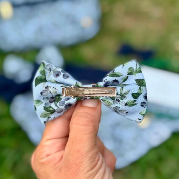 Lacinho sem enchimento Mirtillo Frente