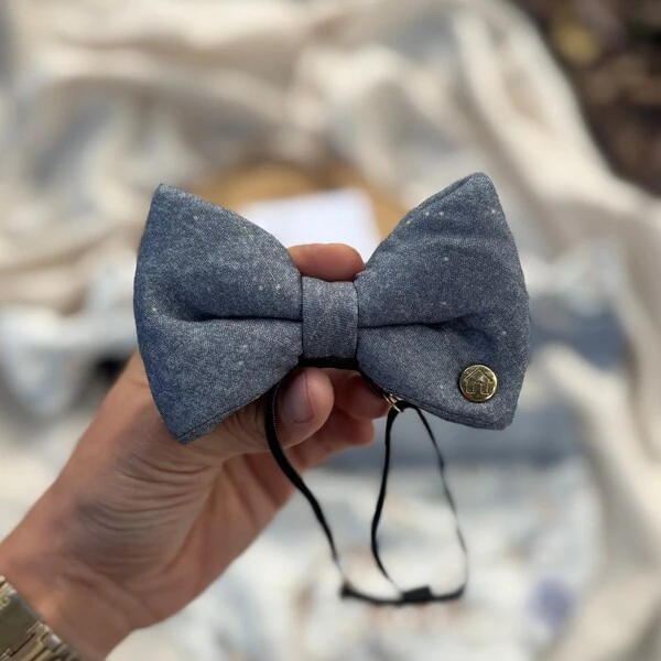 Laçarote com Enchimento Voos Verso