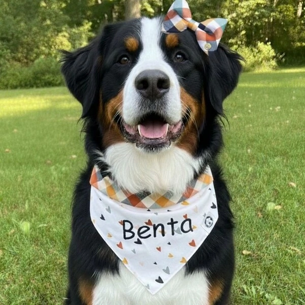 Bandana Coração do Campo