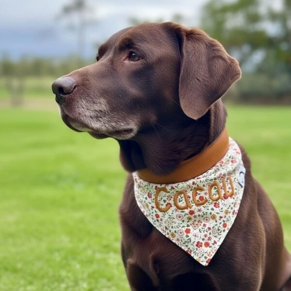 Bandana Capim Dourado