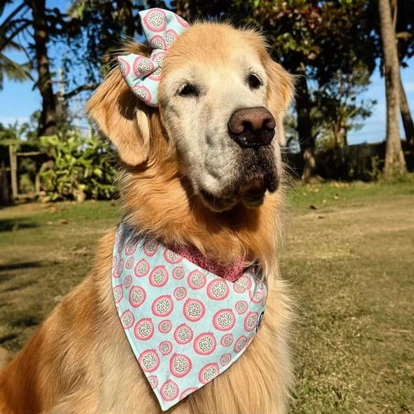 Laçarote com Enchimento Rosa do Mato Frente
