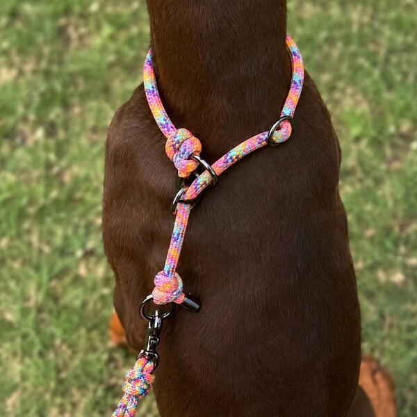 Coleira de Treino para Cachorros em Corda com Limitador – Cachorraria