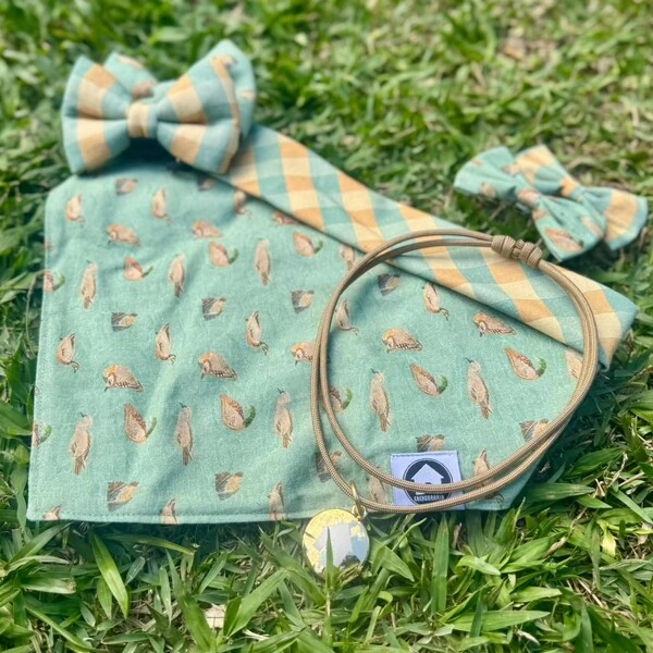 Bandana Lago dos Patos