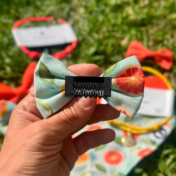 Lacinho sem enchimento Toranja Frente