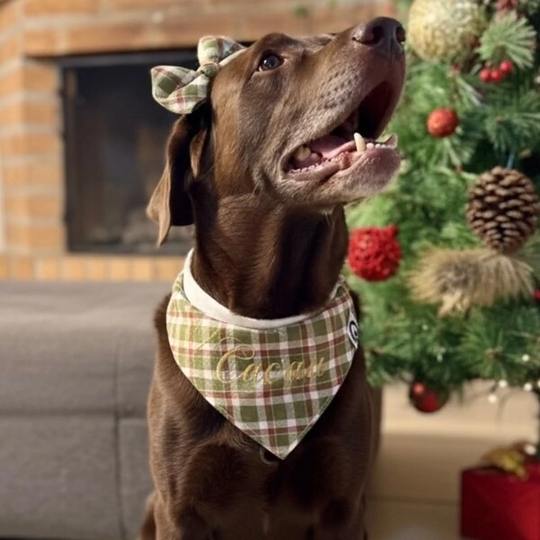 Bandana de Natal 