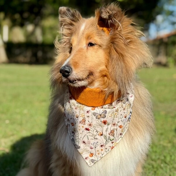 Bandana Alvorada