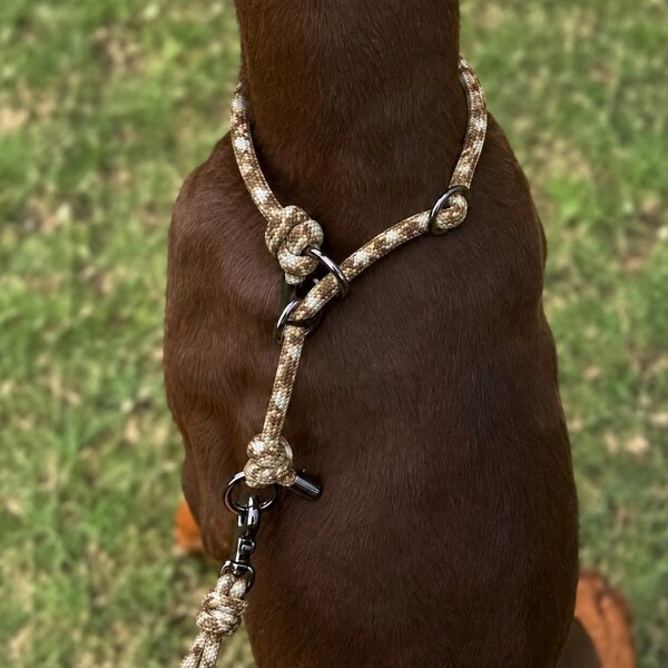 Coleira de Treino para Cachorros em Corda com Limitador – Cachorraria