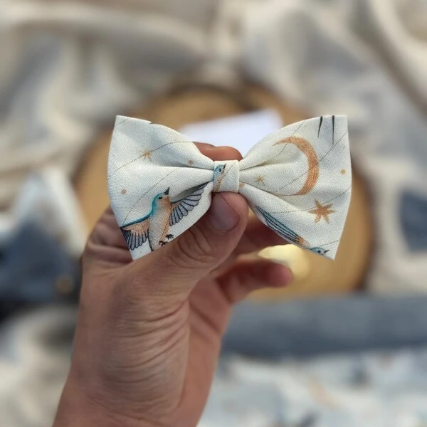 Lacinho sem enchimento Voos para um novo Ciclo Frente