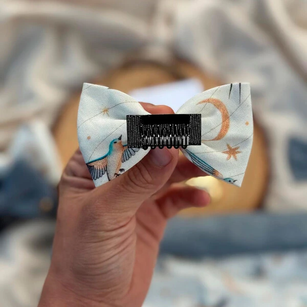 Lacinho sem enchimento Voos para um novo Ciclo Frente