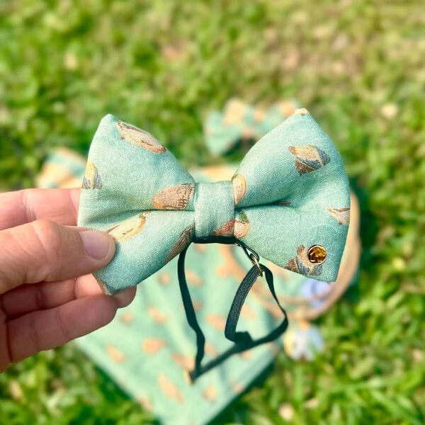 Laçarote com Enchimento Lago dos Patos Frente