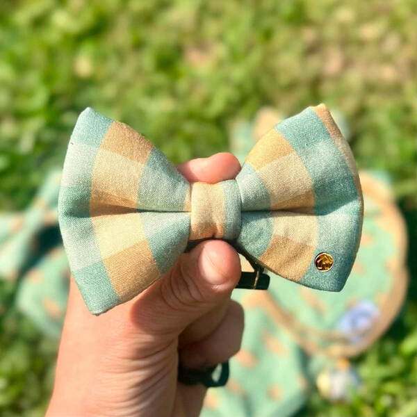 Gravata com Enchimento Lago dos Patos Frente Verso