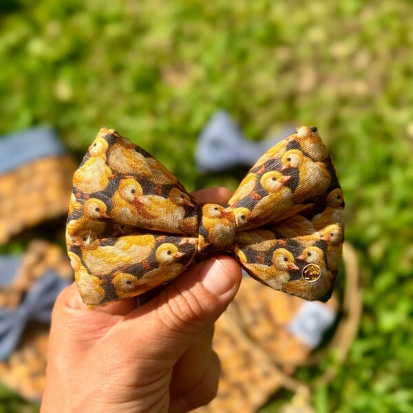 Gravata com Enchimento Entre Plumas Frente