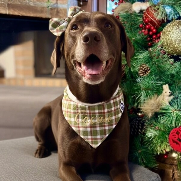 Bandana de Natal 