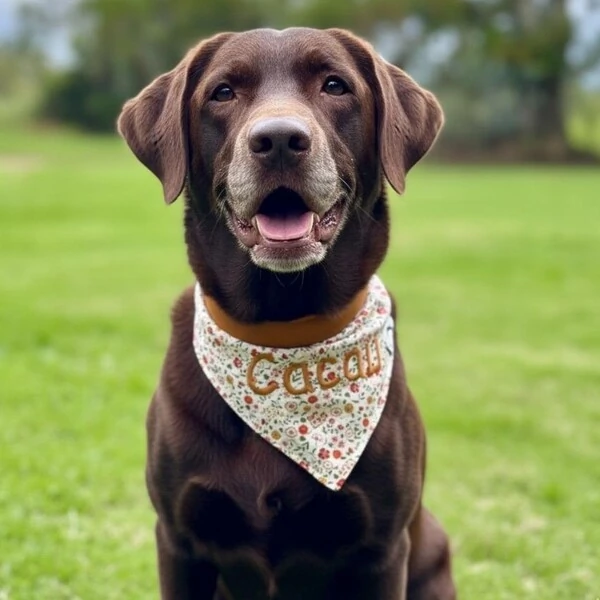 Bandana Capim Dourado