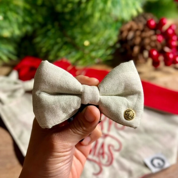 Gravata com Enchimento 