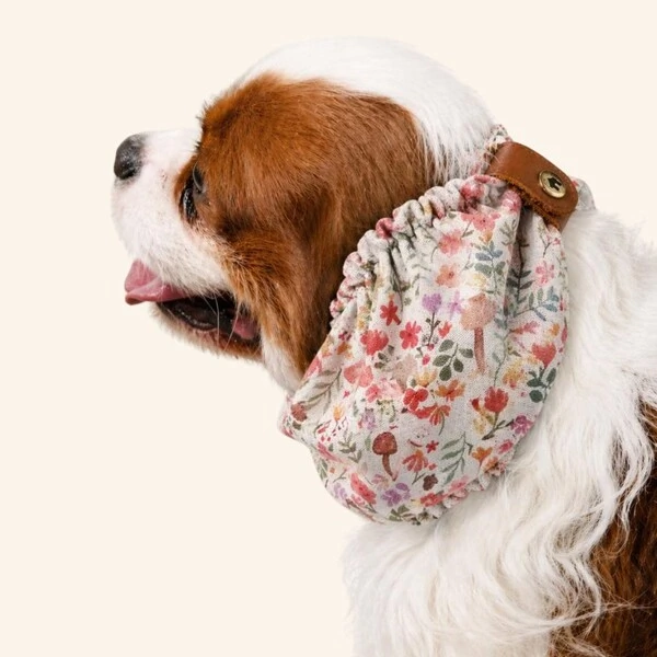 Snood Bosque de Cogumelos - Guarda Orelhas para cachorros de orelha longa - Cavalier, Cocker