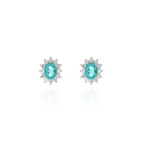 Brinco Élysée Moissanite & Turmalina Paraíba