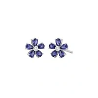 Brinco Violette