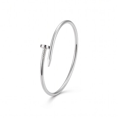 Foto Bracelete Prego