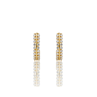 Foto Brinco Ear Hook Rail