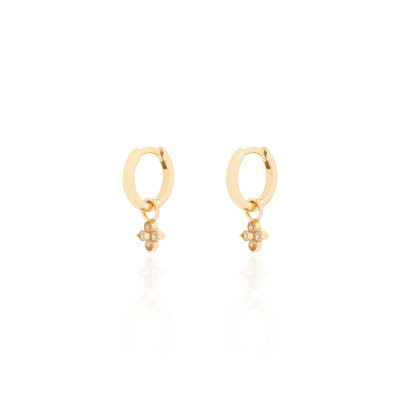 Foto Argola Amber