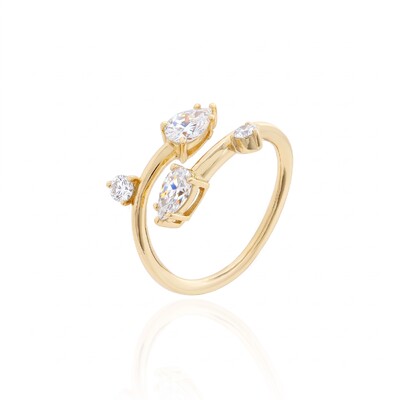 Foto Anel Twig Moissanite