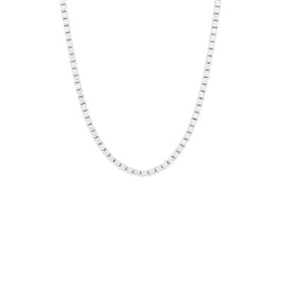 Foto Colar Riviera 4 Garras 42cm 2mm