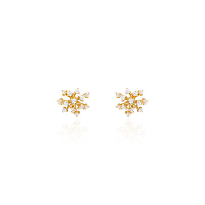 Foto Brinco Snowflake