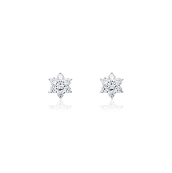 Brinco Flor 6 Pétalas 3mm