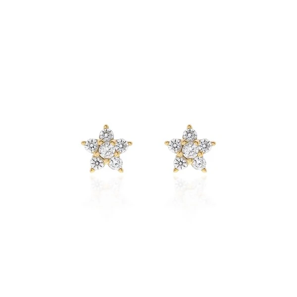 Brinco Dourado Mini Flor