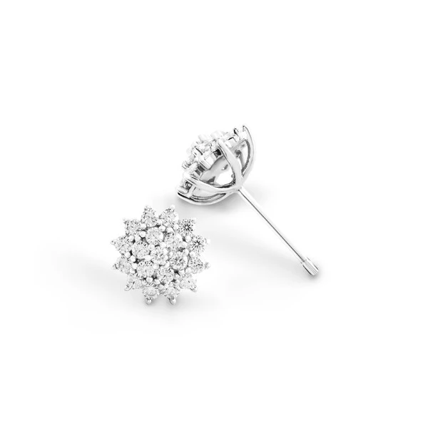 Brinco Íris Moissanite